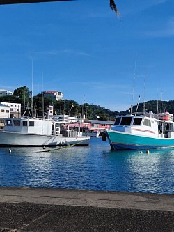 Fishing Vessels are anchored peacefully at the Carenage, St. George's