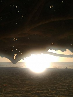 As the Sun starts to dip over the horizon, it leaves a last flash of brilliance!*