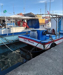 Fishing Vessels, moored at the Carenage, St. George's, lie side by side, giving support to each other, before setting off to travel across the sea.