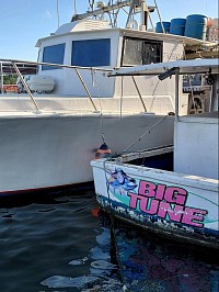 Small Fishing Vessels moored to shore